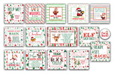 2025 Elf Box - All the Elf Fun!!