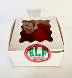 2026 Elf Box - All the Elf Fun!!