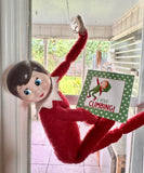 2026 Elf Box - All the Elf Fun!!