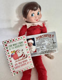 2026 Elf Box - All the Elf Fun!!