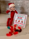 2026 Elf Box - All the Elf Fun!!