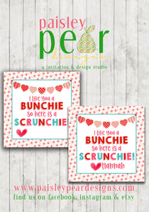 Scrunchie - Love you a Bunchie - Valentine Tags